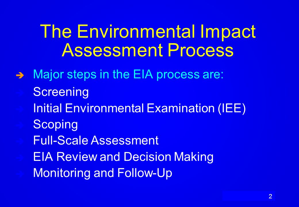 Initial environmental examination report